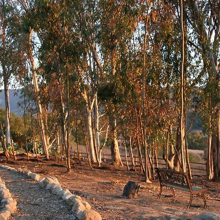Ojai Retreat & Inn מראה חיצוני תמונה