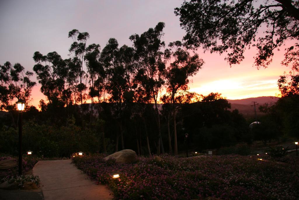 Ojai Retreat & Inn מראה חיצוני תמונה