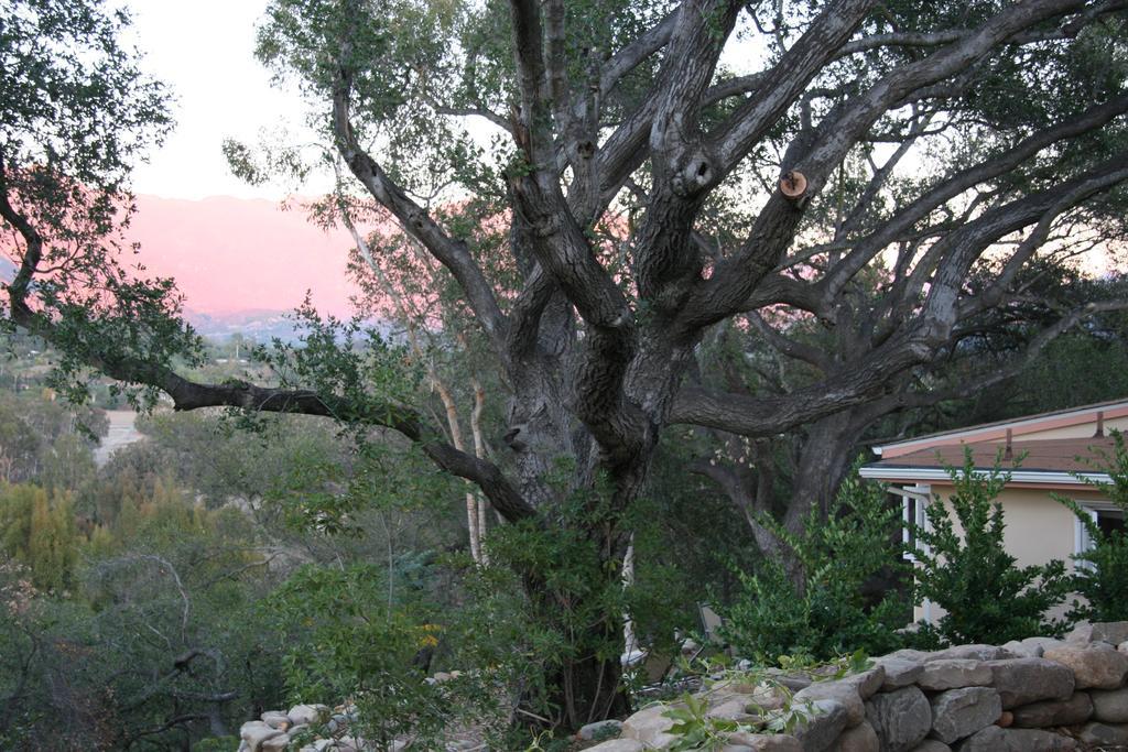 Ojai Retreat & Inn מראה חיצוני תמונה